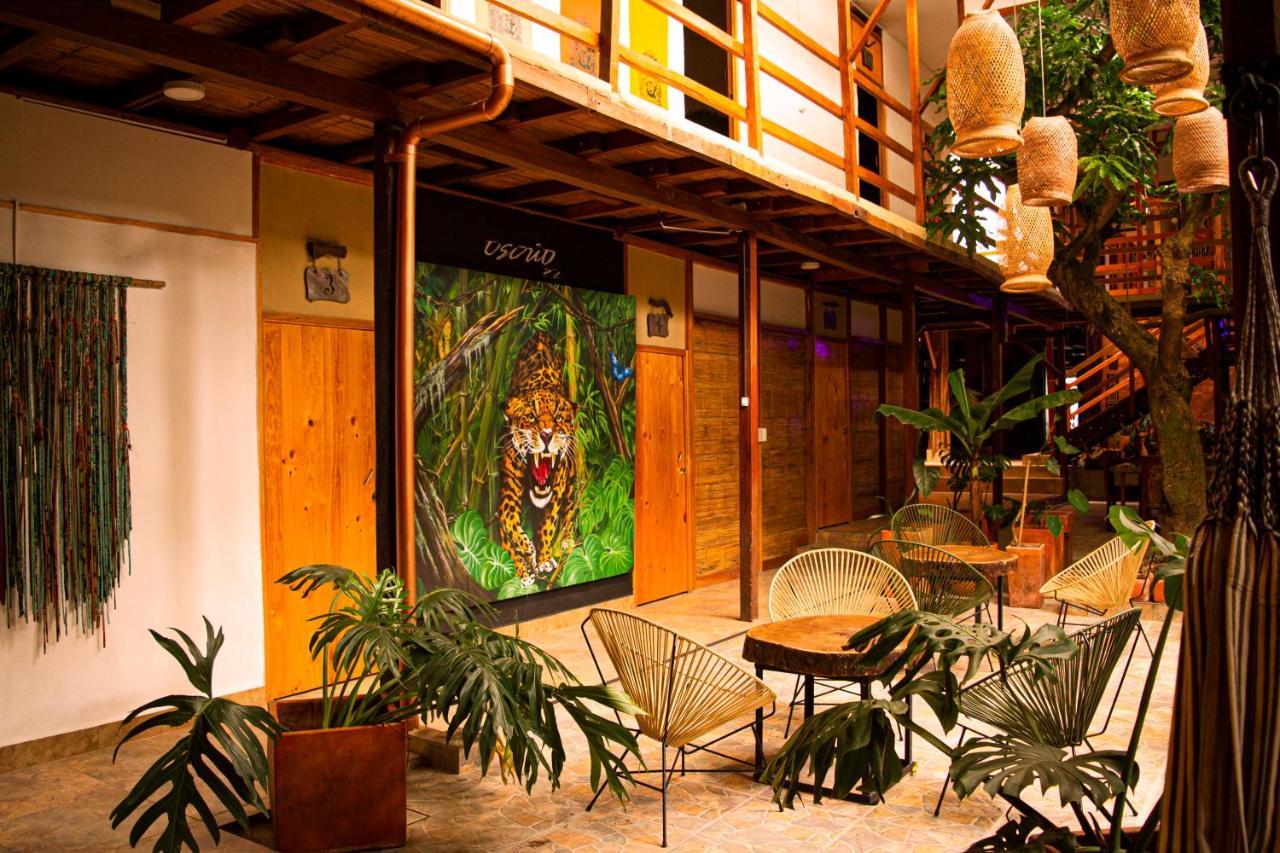 Refugio Del Jaguar Hotell Medellín Exteriör bild